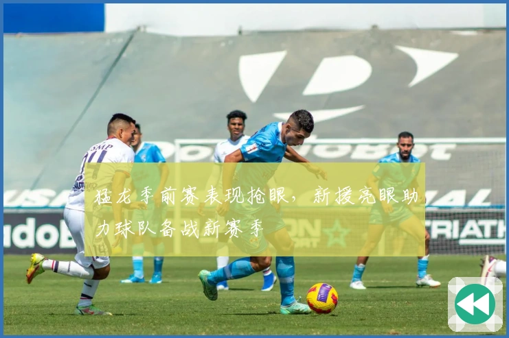 猛龙季前赛表现抢眼，新援亮眼助力球队备战新赛季