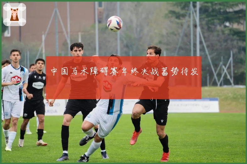 中国马术障碍赛年终决战蓄势待发